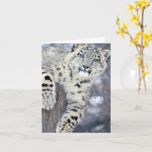 Hanginのまわりの…. カード (黄色い花)