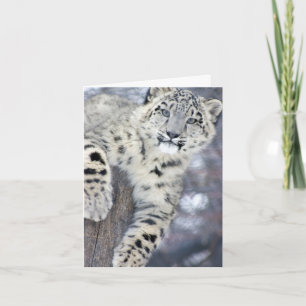 Hanginのまわりの…. カード