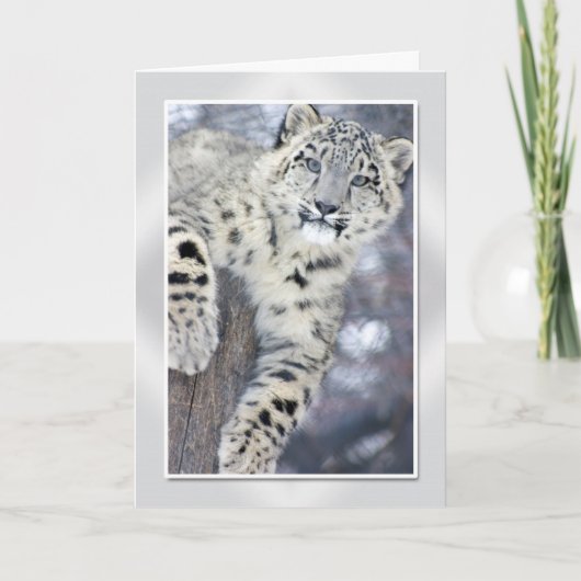 Hanginのまわりの….(w/border) カード (正面)