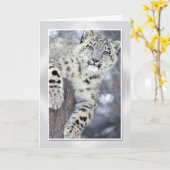 Hanginのまわりの….(w/border) カード (黄色い花)