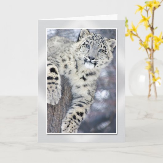 Hanginのまわりの….(w/border) カード (黄色い花)