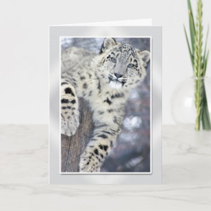 Hanginのまわりの….(w/border) カード