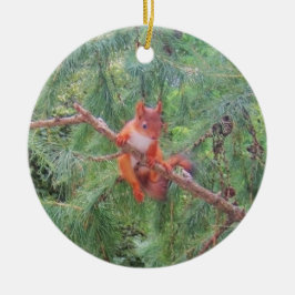 Hanging in There セラミックオーナメント