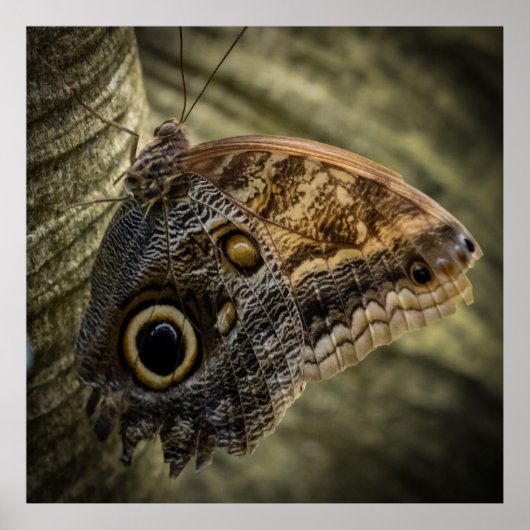 Hanging On ポスター (正面)