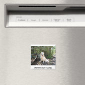 Hank 8 10 2008 014.1、かわいらしBOY HANK マグネット (インサイチュ (食洗機))