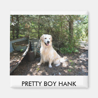 Hank 8 10 2008 014.1、かわいらしBOY HANK マグネット