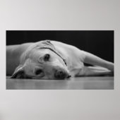 HANK 'ONE'キャンバス ポスター (正面)