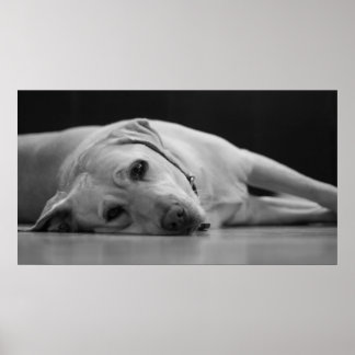 HANK 'ONE'キャンバス ポスター