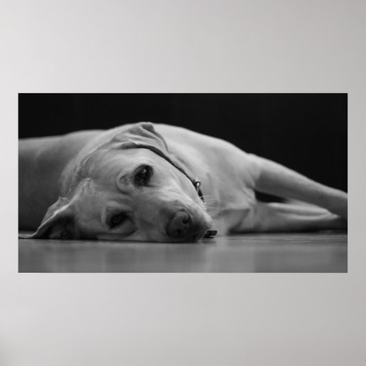 HANK 'ONE'キャンバス ポスター (正面)