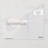 Hans Holbein The Rewallサー・リチャード・サウスウェル ポストカード (裏面)