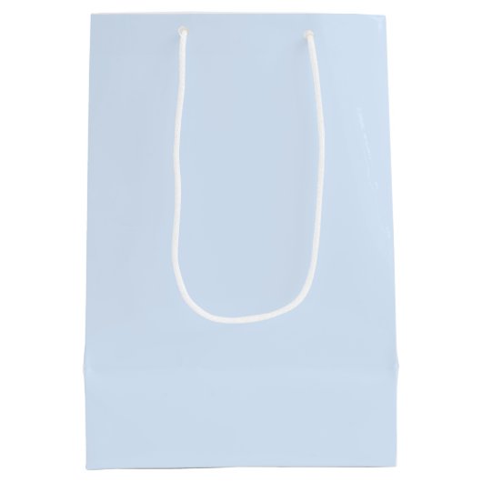 HANUKKAH FAMILYカスタマイズ可能な写真 ミディアムペーパーバッグ (裏面)