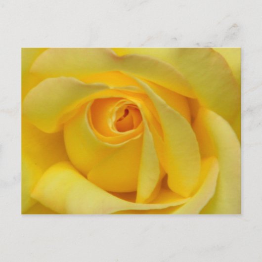 Happiness_ ポストカード (正面)