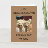 HAPPY *誕生日* **孫娘** カード (正面)