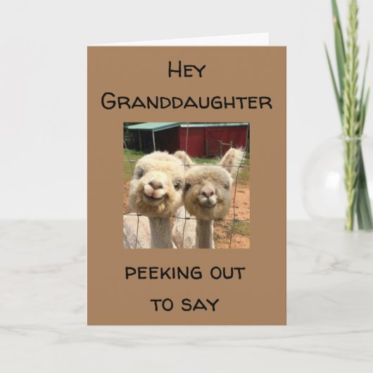 HAPPY *誕生日* **孫娘** カード (正面)