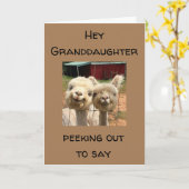 HAPPY *誕生日* **孫娘** カード (黄色い花)