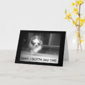 HAPPY **13誕生日** SHEEPDOG氏カッコいい カード (黄色い花)