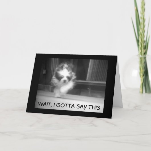 HAPPY **13誕生日** SHEEPDOG氏カッコいい カード (正面)