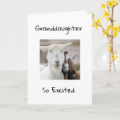 HAPPY *16誕生日TO YOU *孫*カード カード (黄色い花)