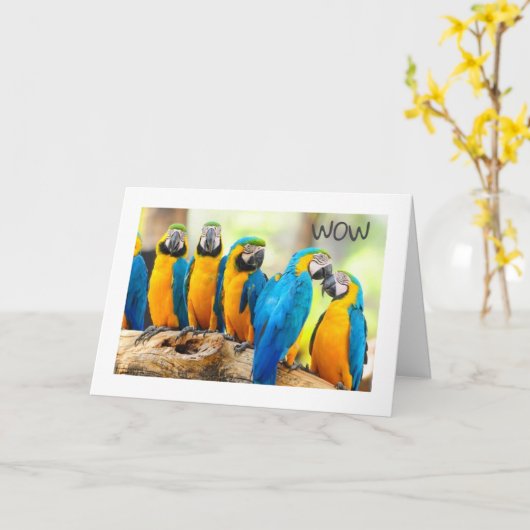 HAPPY **16th**誕生日 カード (黄色い花)