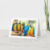 HAPPY **16th**誕生日 カード (正面)