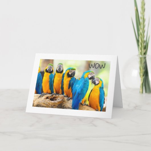 HAPPY **16th**誕生日 カード (正面)