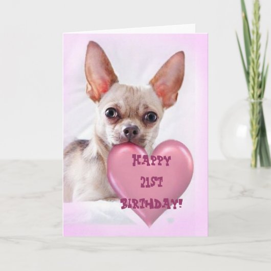 Happy 21st Birthday Chihuahua greeting card カード (正面)