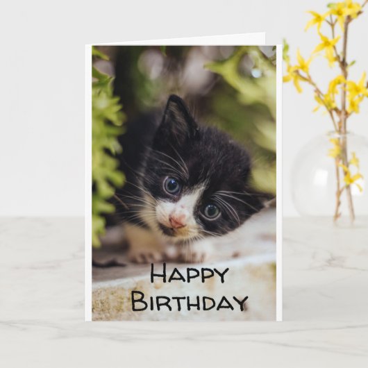 **HAPPY 7誕生日FROM子猫**カード カード (黄色い花)