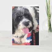 **HAPPY 8誕生日**カード カード (正面)