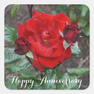 Happy Anniversary Crimson Boquet #1スタンプ スクエアシール
