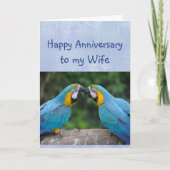 Happy Anniversary Parrot Wife Love Card カード (正面)