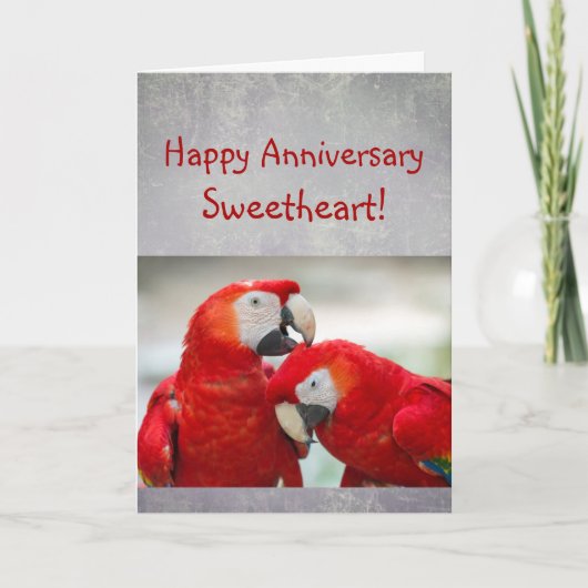 Happy Anniversary Sweetheart Parrot Couple Love カード (正面)