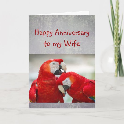 Happy Anniversary Sweetheart Parrot Wife Love  カード (正面)