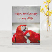 Happy Anniversary Sweetheart Parrot Wife Love  カード (黄色い花)