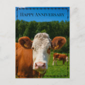 Happy Anniversary Western Cow Ranch & Farm Style  シーズンポストカード (正面)