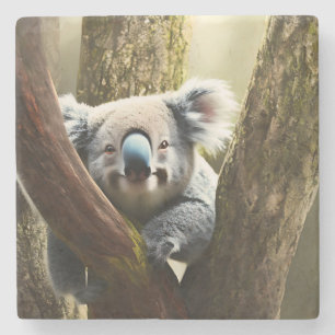 Happy Australian Koala Bear In Tree, Stone Coaster ストーンコースター