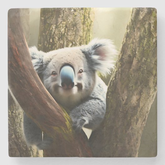 Happy Australian Koala Bear In Tree, Stone Coaster ストーンコースター (正面)