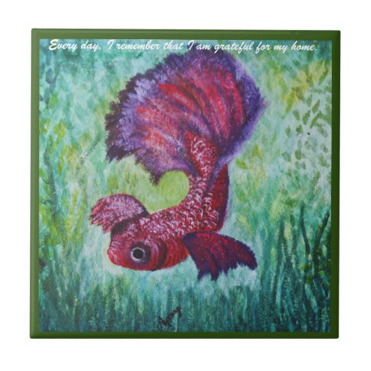 Happy betta fish enjoying his home タイル (正面)