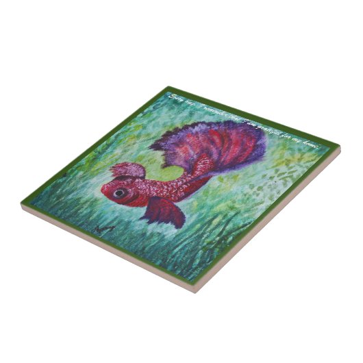 Happy betta fish enjoying his home タイル (側面)