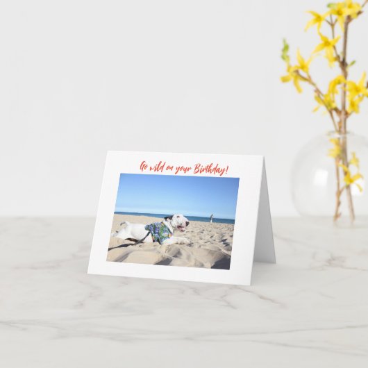 Happy Birthday! Beach Bull Terrier Hawaii カード (黄色い花)