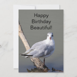 Happy Birthday Beautiful' ピジョングリーティングカード カード