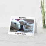 HAPPY BIRTHDAY BROTHER-TAKE NAP/DO WHATEVER U WISH カード<br><div class="desc">THIS COCKER SPANIEL WILL WISH YOUR BROTHER A HAPPY BIRTHDAY AND TELL HER SHE DESERVES TO DO WHATEVER SHE WANTS ON "HER SPECIAL DAY"</div>