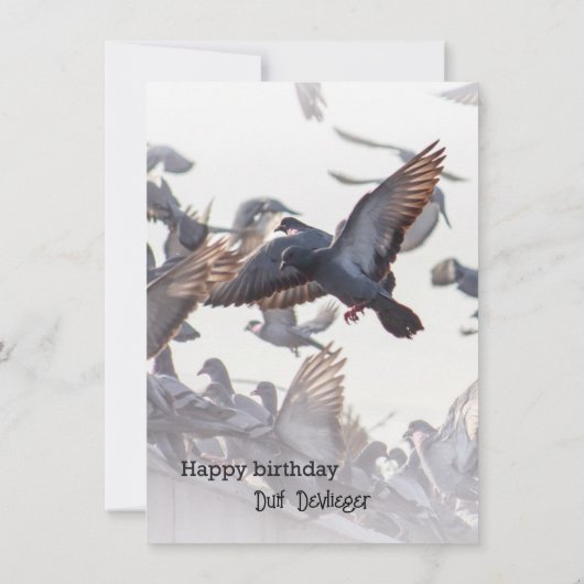 Happy Birthday Card for Pigeons (裏面)