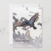 Happy Birthday Card for Pigeons (裏面)