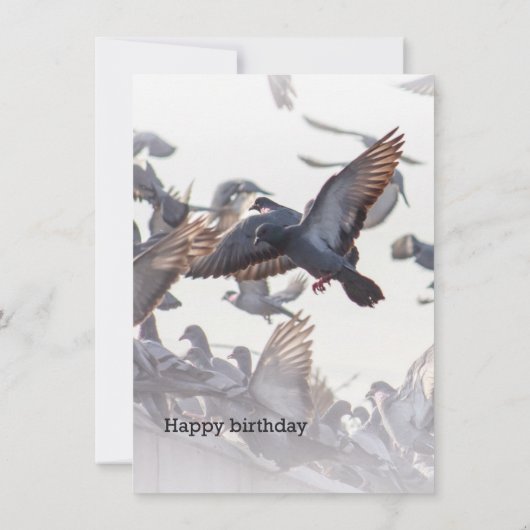Happy Birthday Card for Pigeons (裏面)