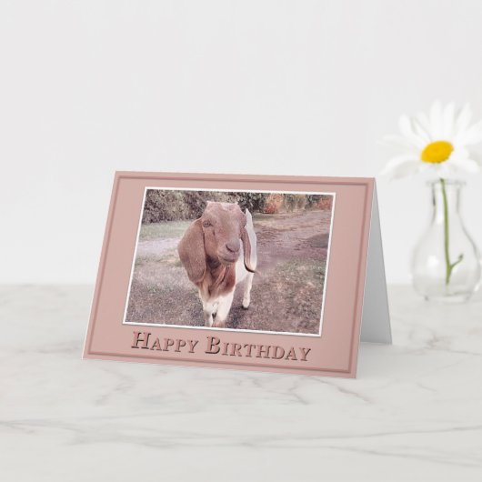 Happy Birthday - From your Favorite Kid カード (小さな植物)