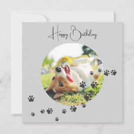 Happy Birthday from Your Furry Friend 2 Photos   カード