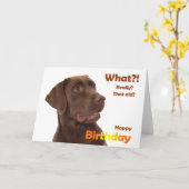 Happy Birthday fun card with Labrador dog カード (黄色い花)