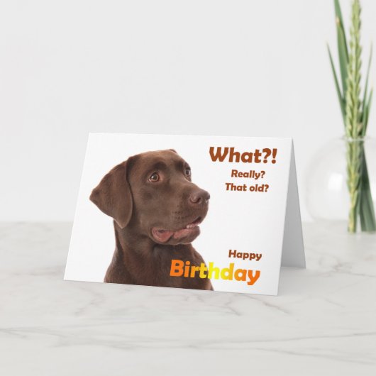 Happy Birthday fun card with Labrador dog カード (正面)