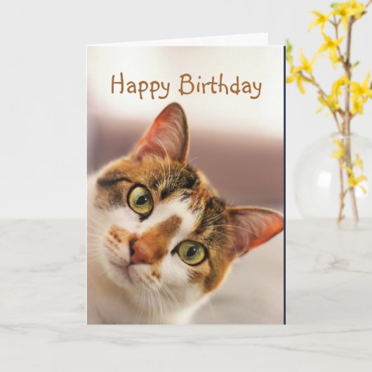 Happy Birthday Fun Cat Kitten Pop in カード (黄色い花)