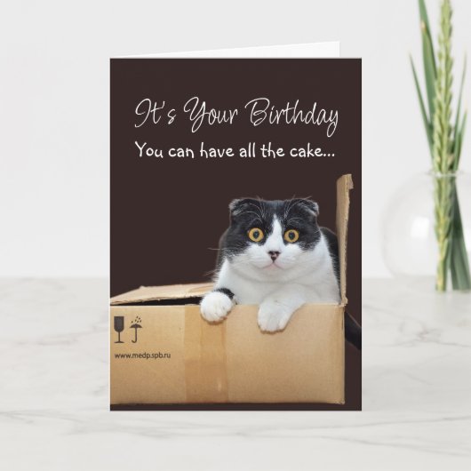 Happy Birthday Funny Cat  カード (正面)